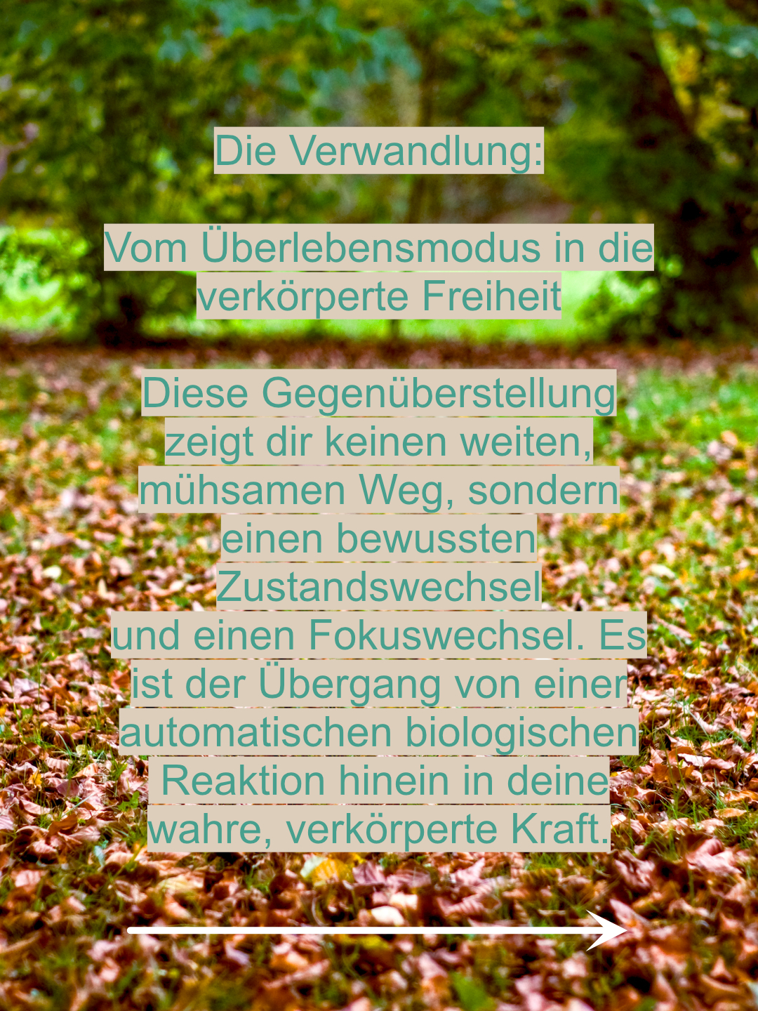 Die Verwandlung: Vom Überlebensmodus in die verkörperte Freiheit Start