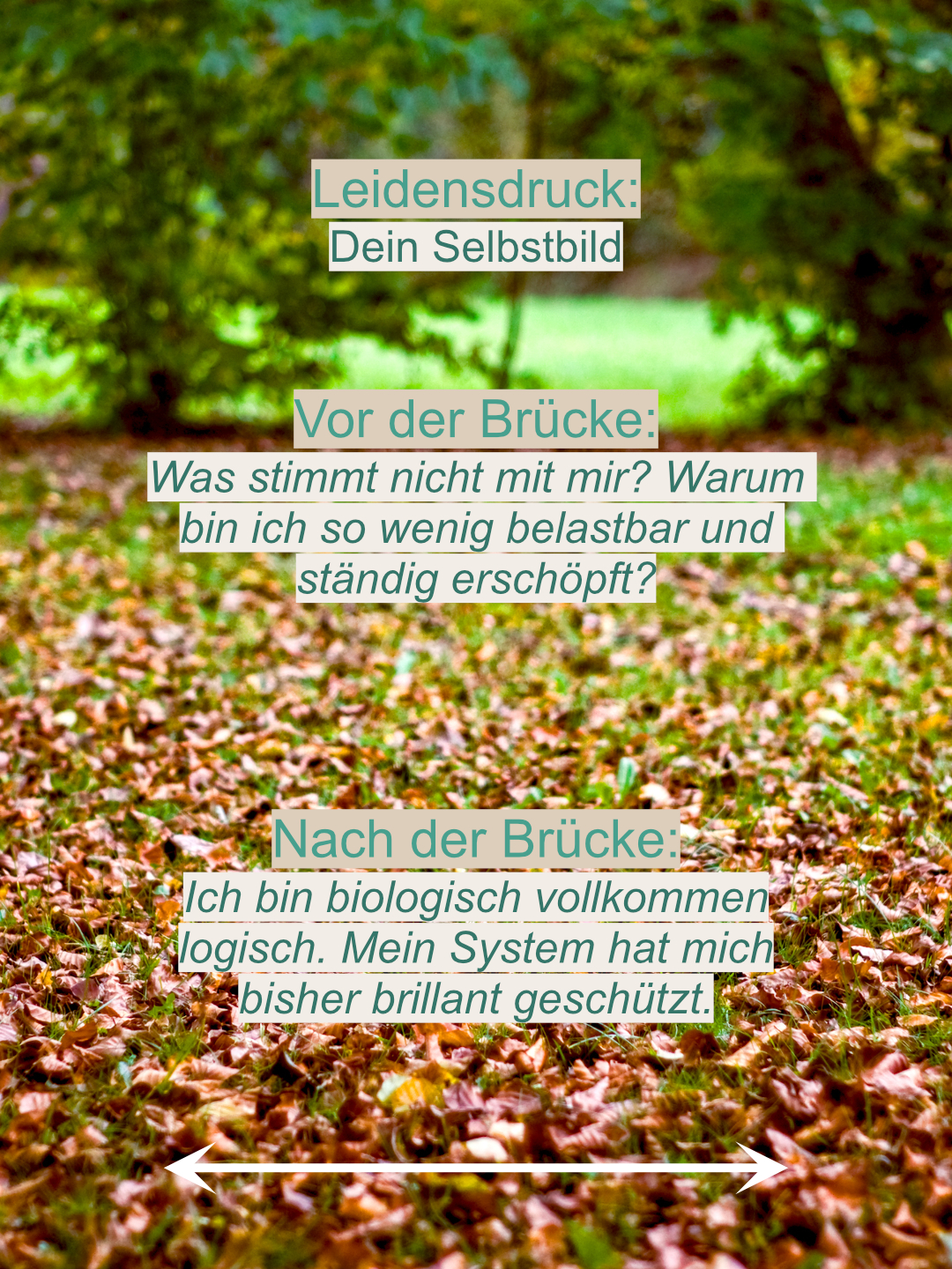 Die Verwandlung: Vom Überlebensmodus in die verkörperte Freiheit 1