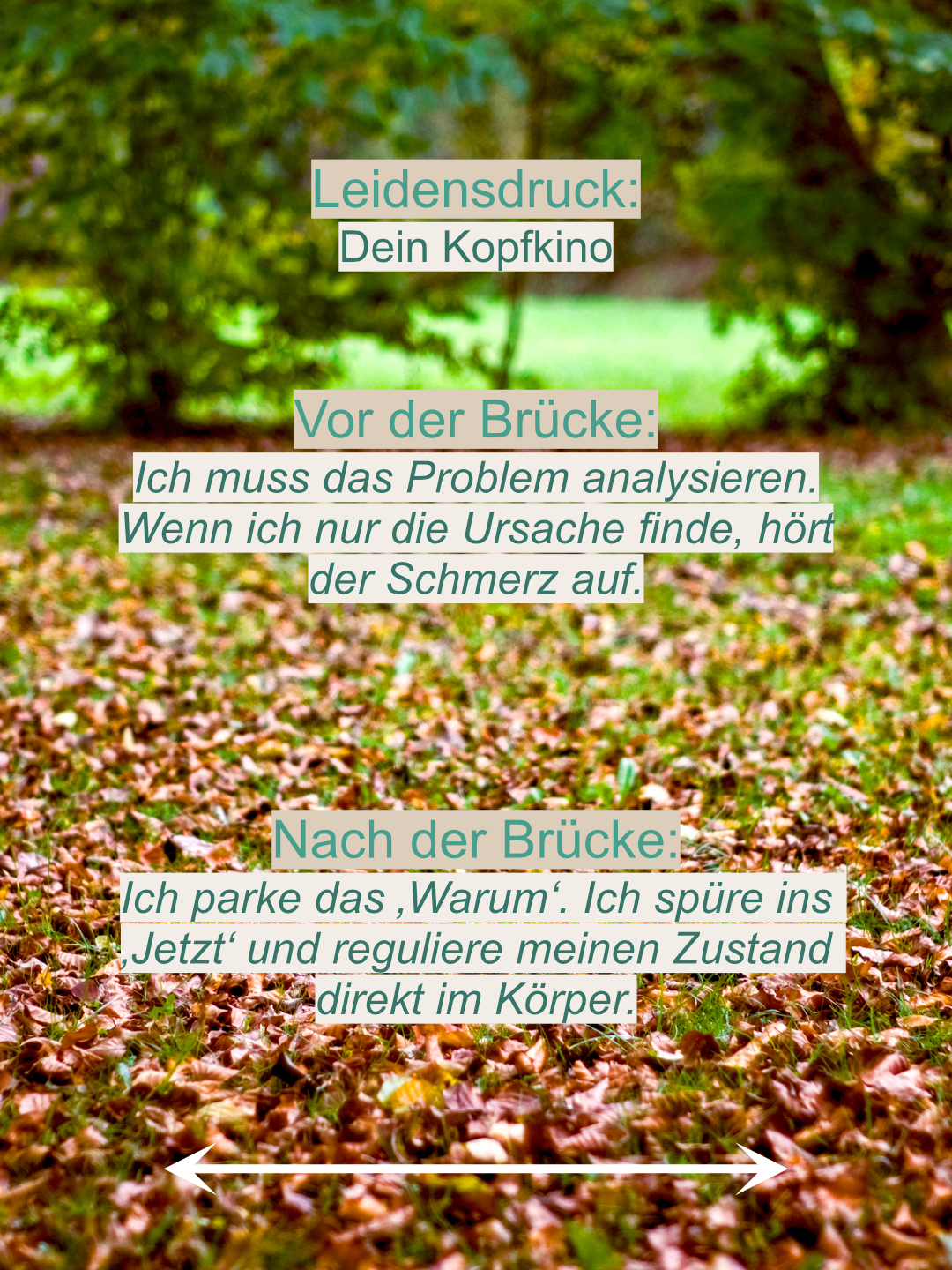 Die Verwandlung: Vom Überlebensmodus in die verkörperte Freiheit 3