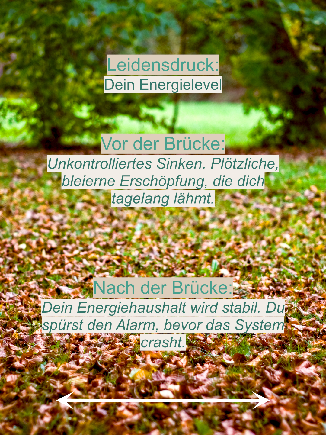 Die Verwandlung: Vom Überlebensmodus in die verkörperte Freiheit 4