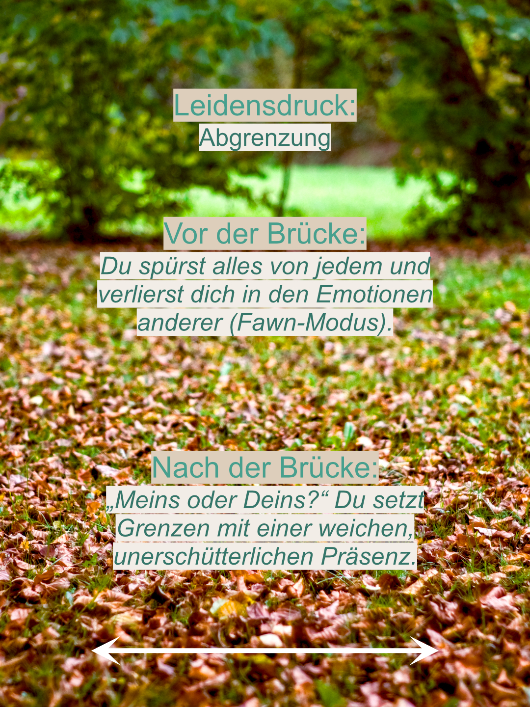 Die Verwandlung: Vom Überlebensmodus in die verkörperte Freiheit 6
