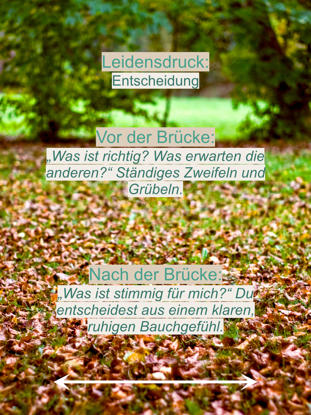 Die Verwandlung: Vom Überlebensmodus in die verkörperte Freiheit 7