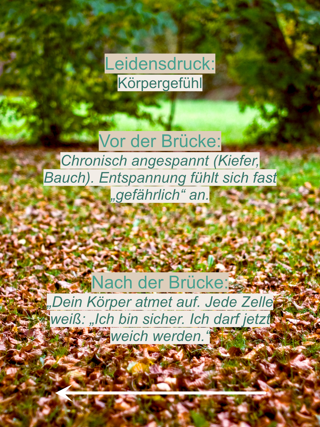 Die Verwandlung: Vom Überlebensmodus in die verkörperte Freiheit 8